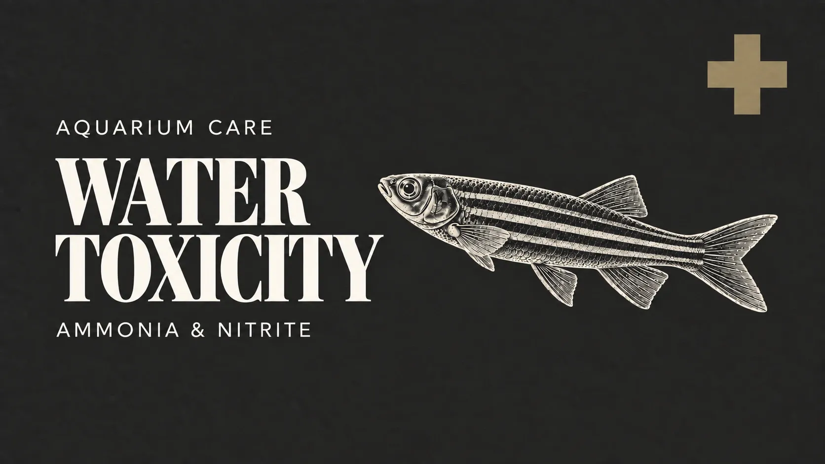 Ammonia and Nitrite Poisoning – Fish Gasping at the Surface and How to Read Water Test Kits