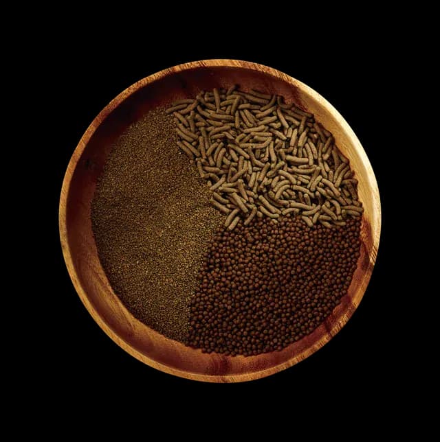 Pellets in different shapes and sizes