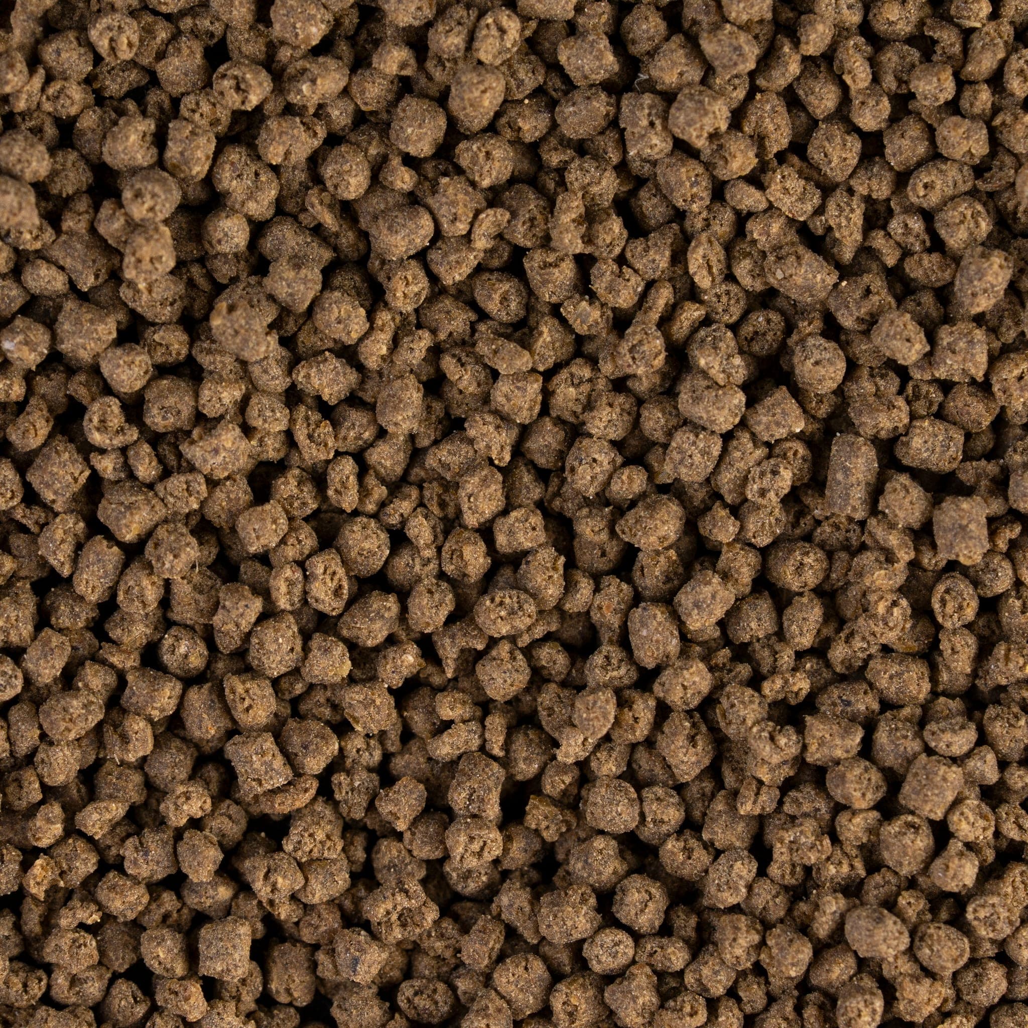 Slow-sinking pellet close-up