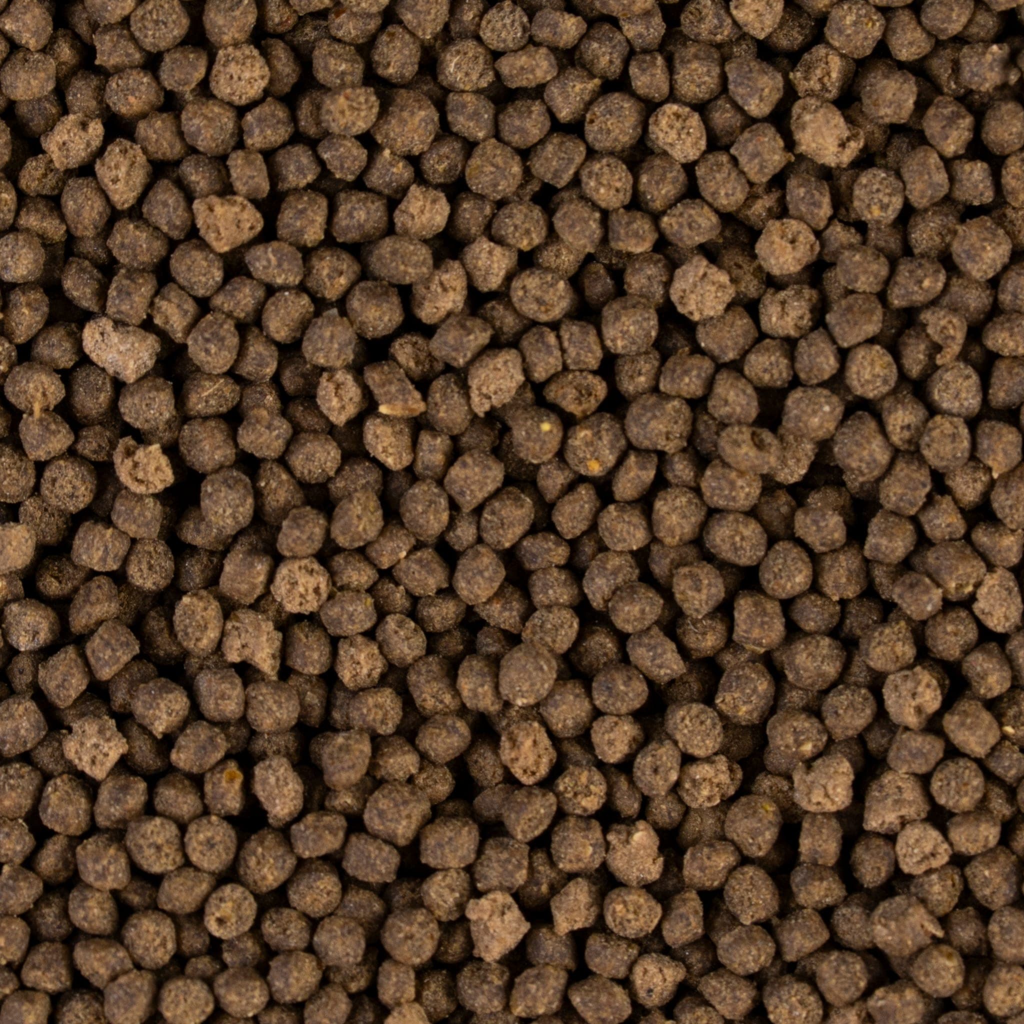 Slow-sinking pellet close-up