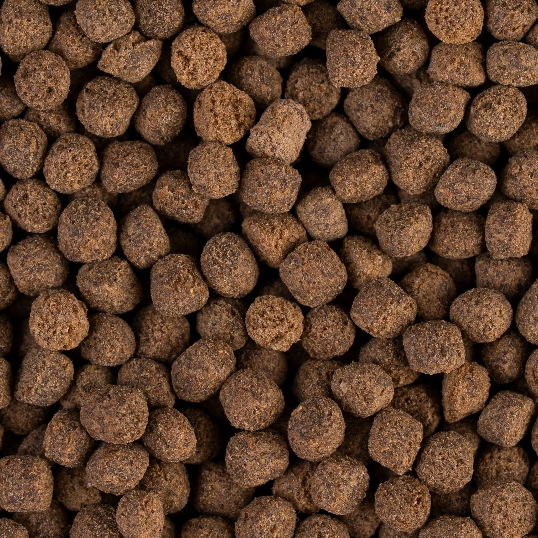Slow-sinking pellet close-up