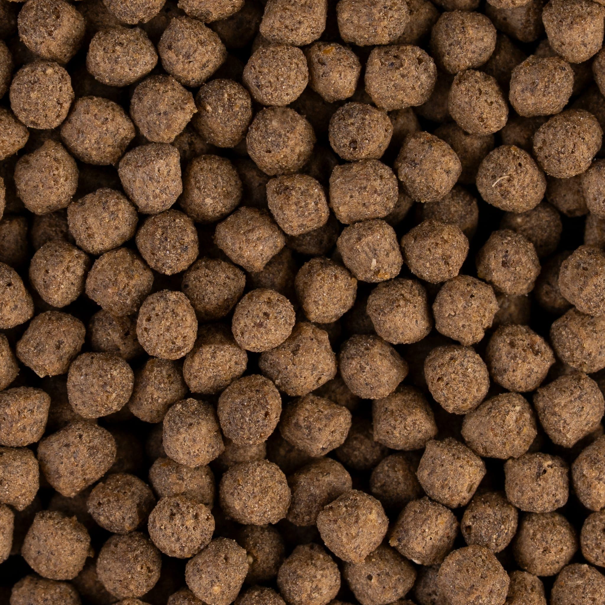 Floating pellet close-up