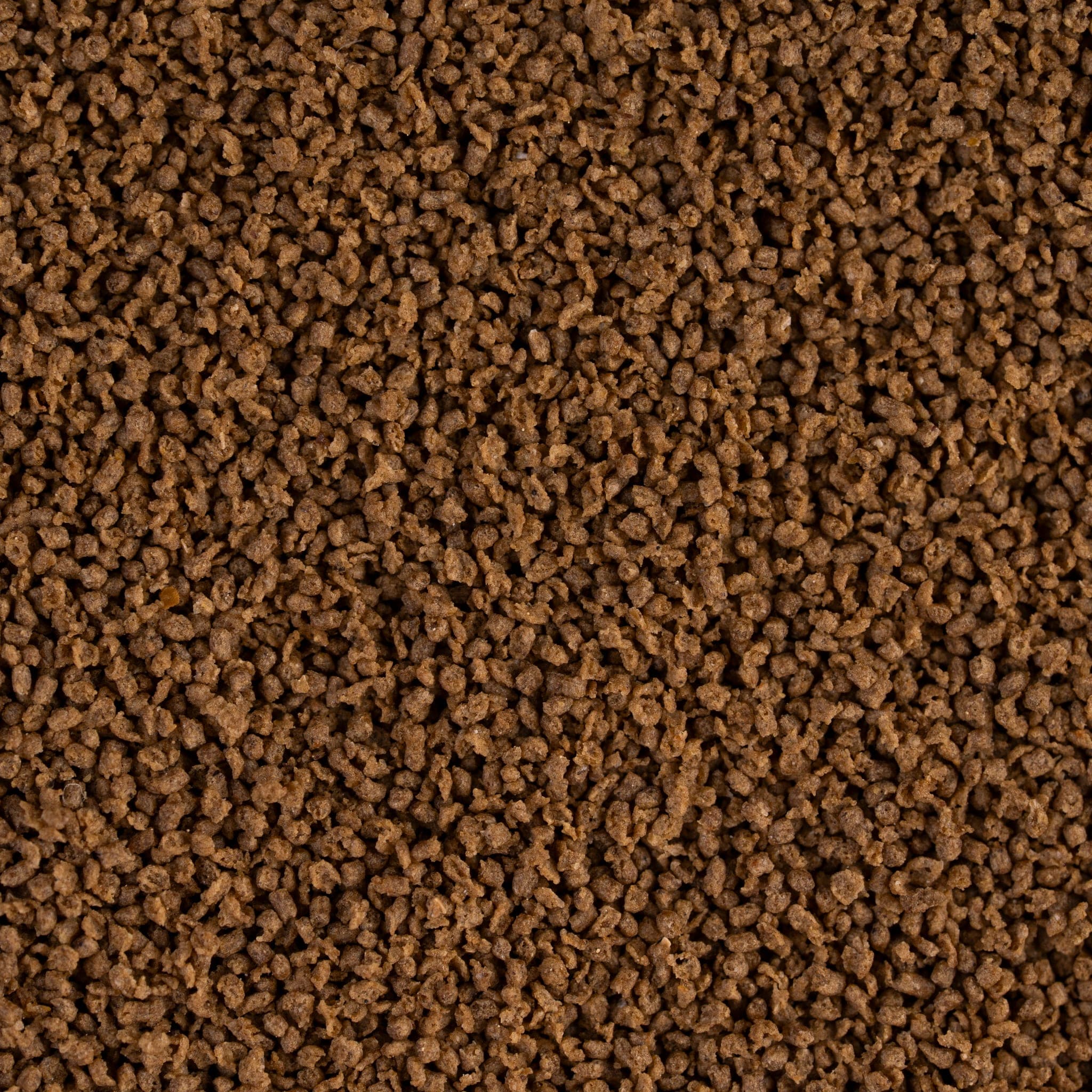 Pellets in Nahaufnahme (langsam sinkend)