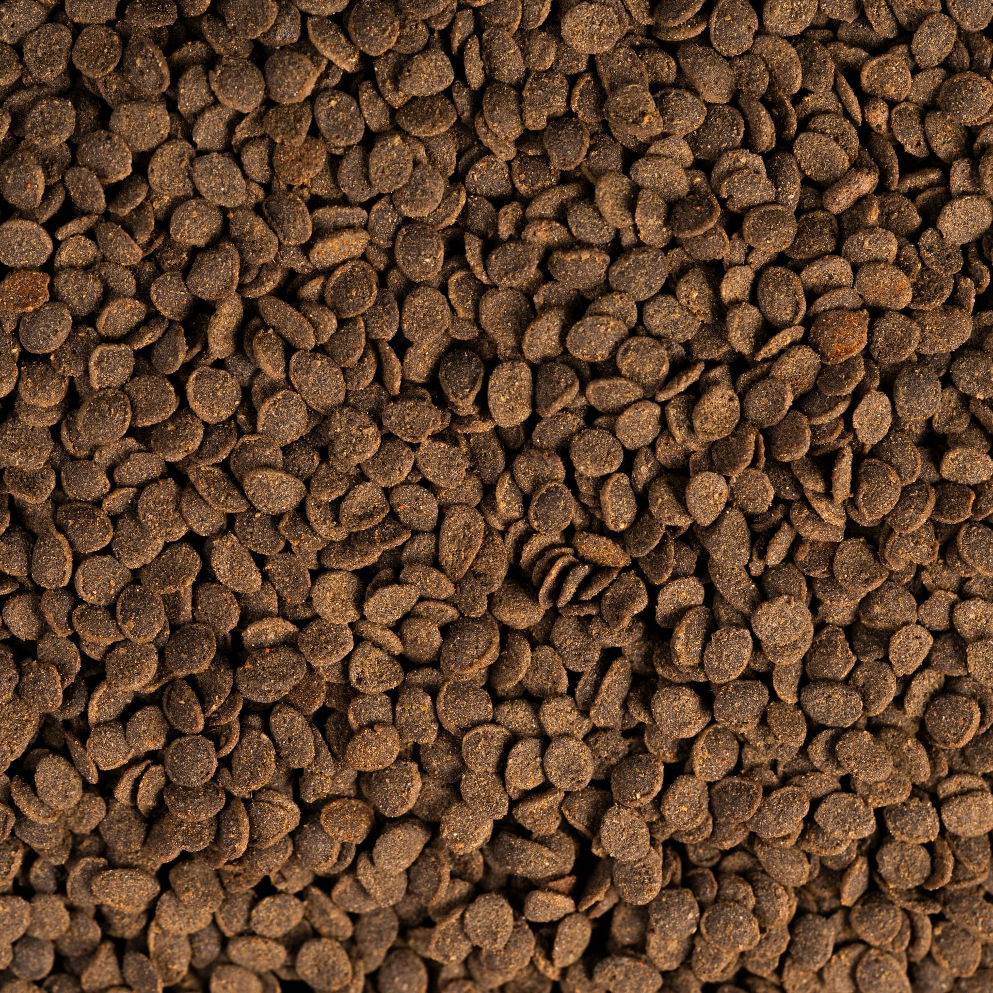 APEX GOLDFISH All-season natural nutrition growth crisps ภาพเม็ดอาหารระยะใกล้ ⌀3×0.8mm