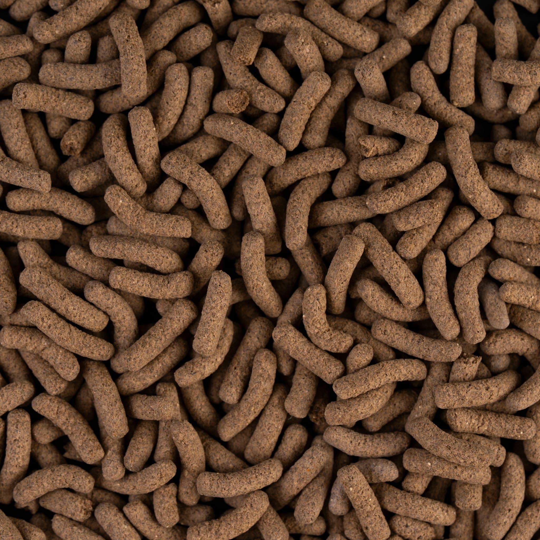 CARNIVOROUS jumbo stick Pellet close-up 3×18mm