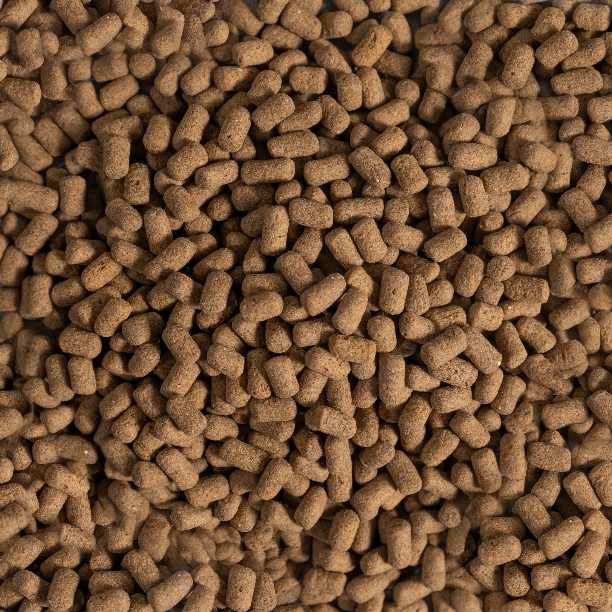 JUVENILE TURTLE deodorizing nutri stick ภาพเม็ดอาหารระยะใกล้ 3×5mm