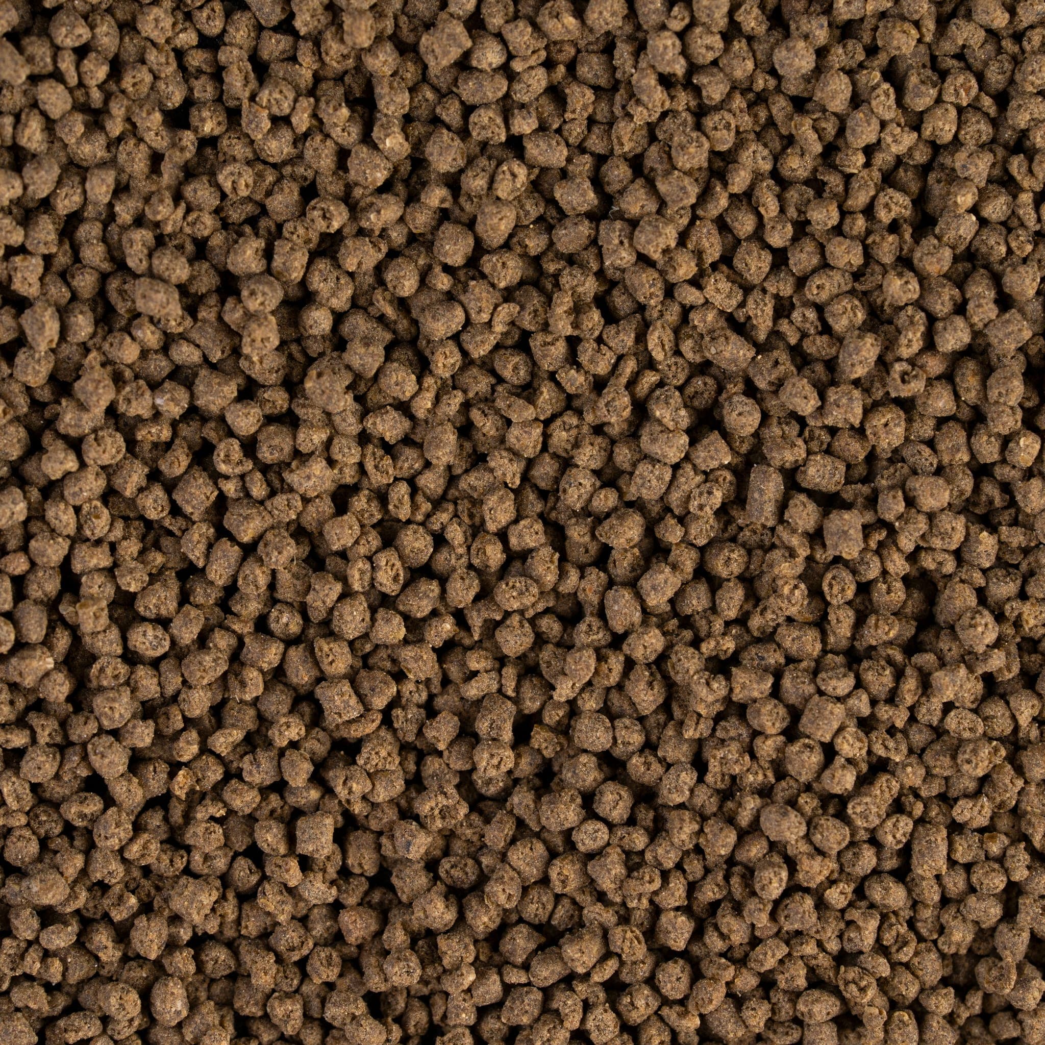 MARINE shrimp patties (S) Pellet close-up 1.5mm