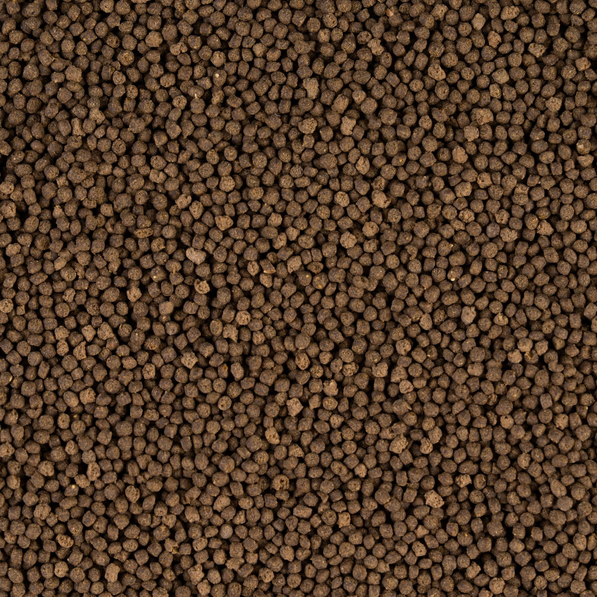 GOLDFISH ultra color Pellet close-up 1.6×2mm