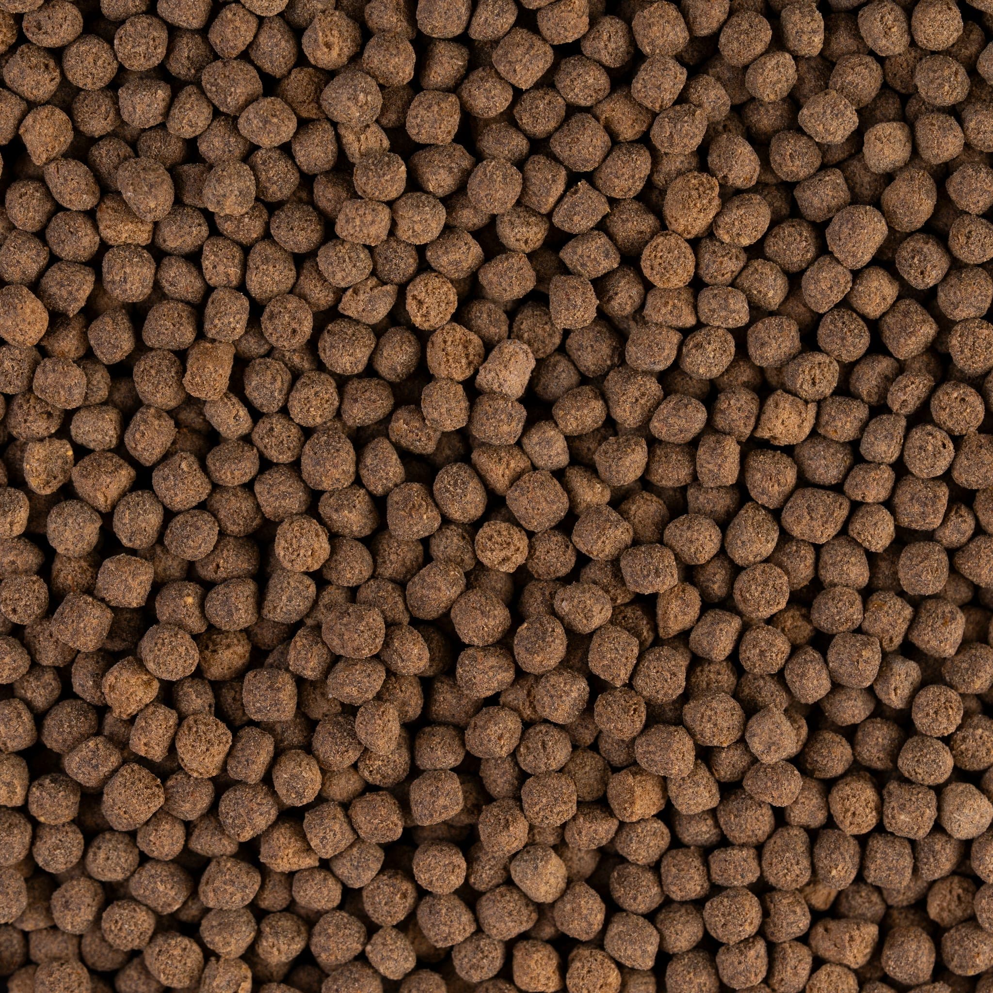 ROYAL CICHLID premium pellet Pellet close-up 3.1×3.7mm