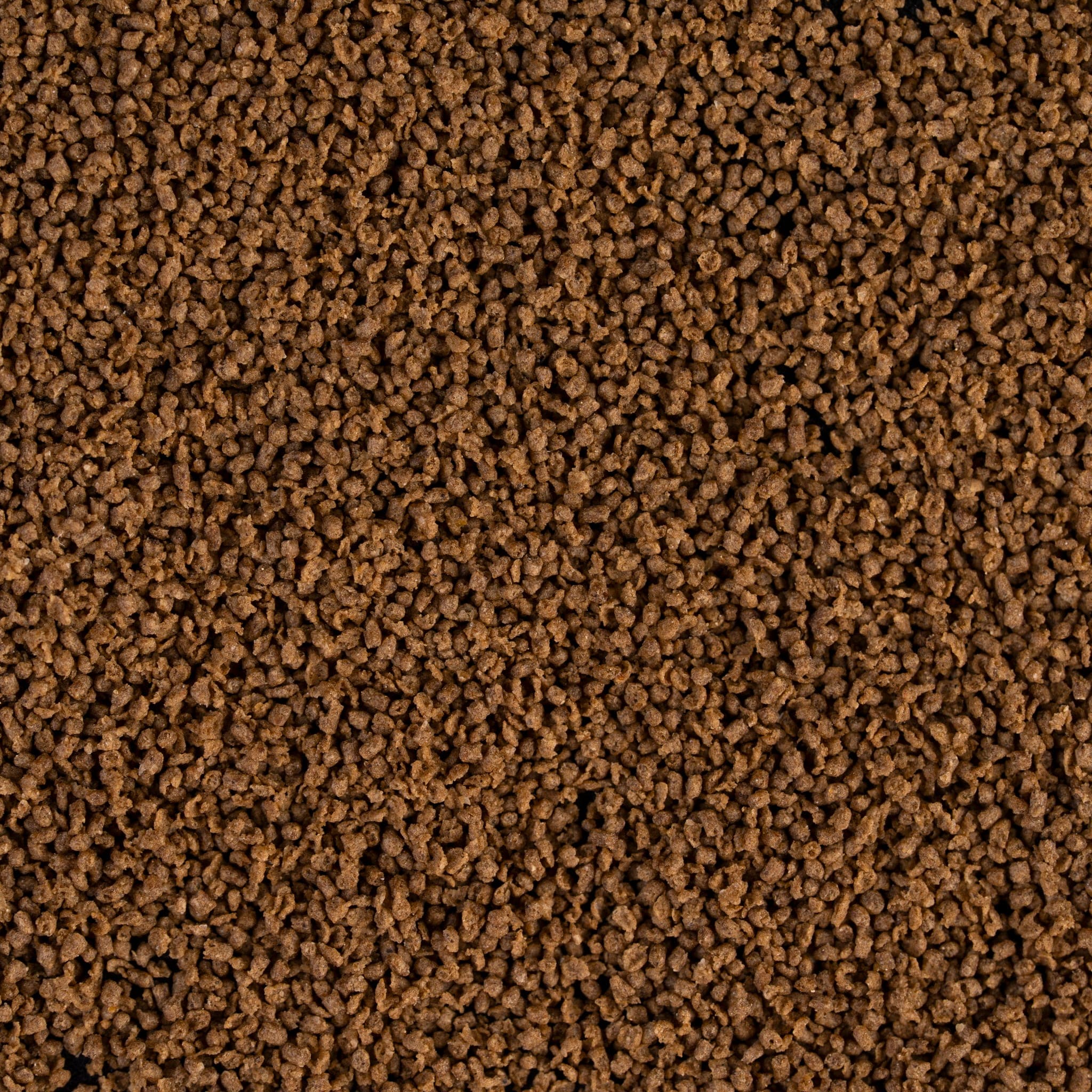 ROYAL GUPPY mignon pellet ภาพเม็ดอาหารระยะใกล้ 0.6mm