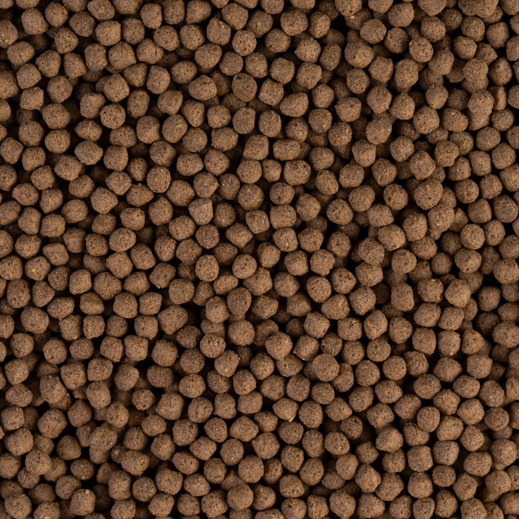 GOLDFISH premium pellet Pellet close-up 3.1mm