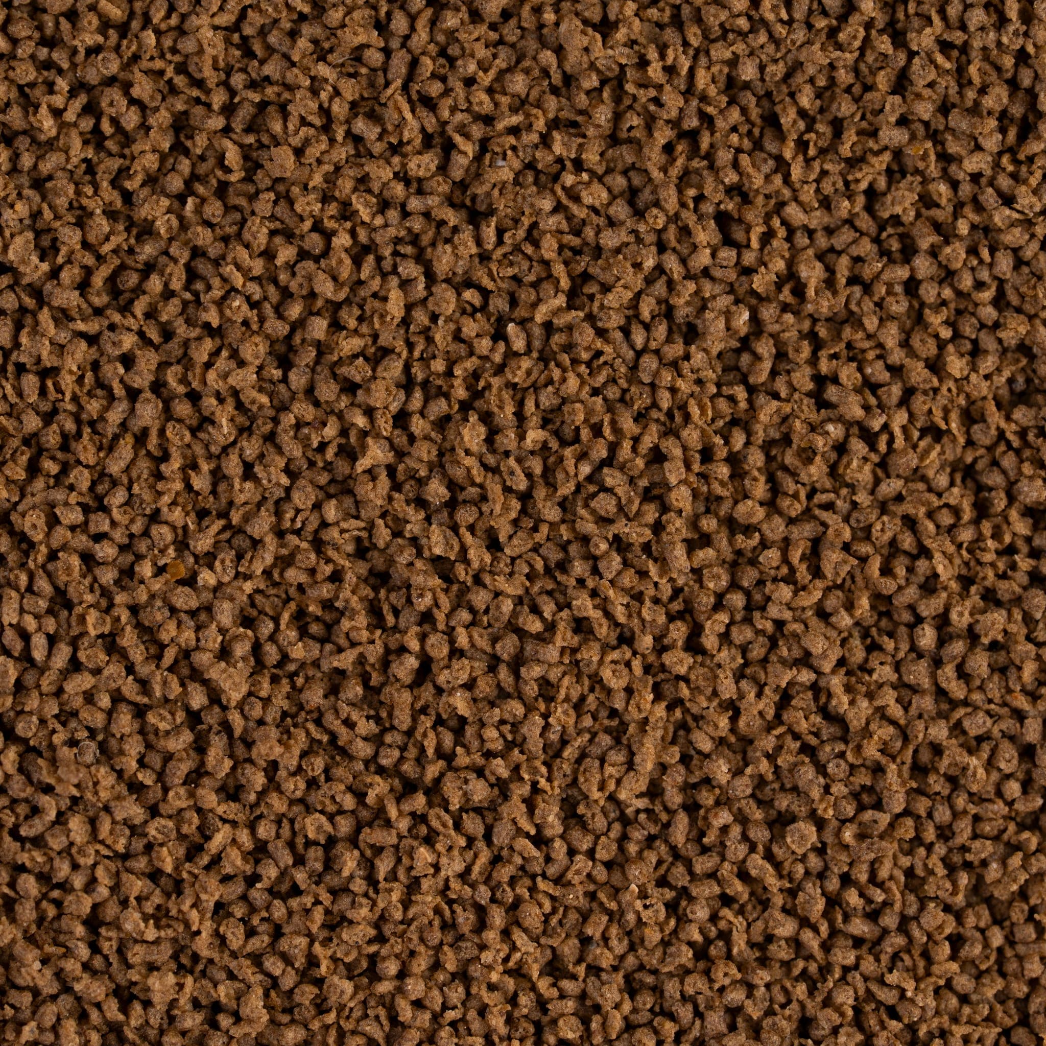 TROPICAL micro pellet Pellets in Nahaufnahme 0.6mm