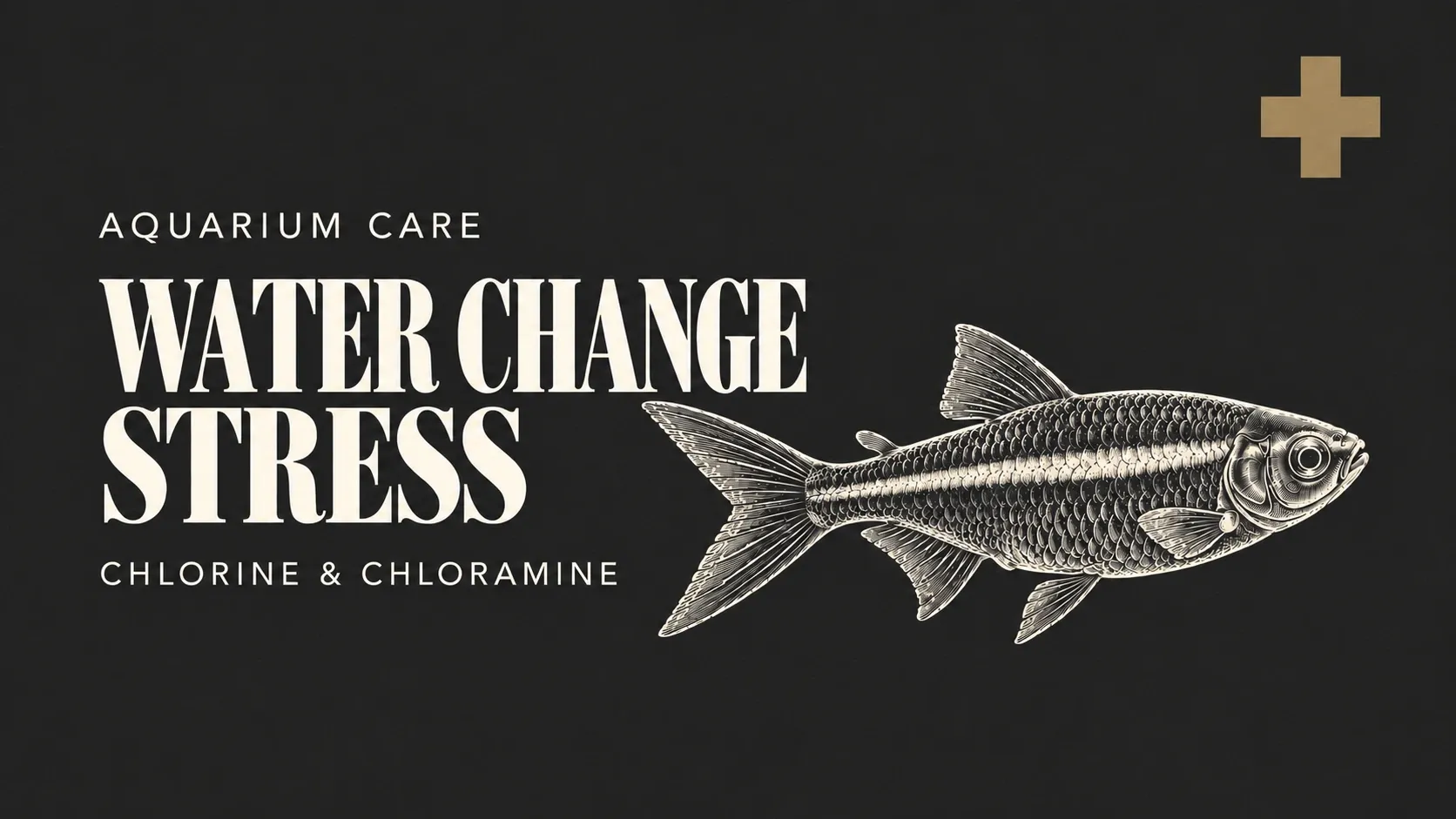 Fish Gasping or Dying After a Water Change – Tracking Down Chlorine, Chloramine and Water Quality Changes