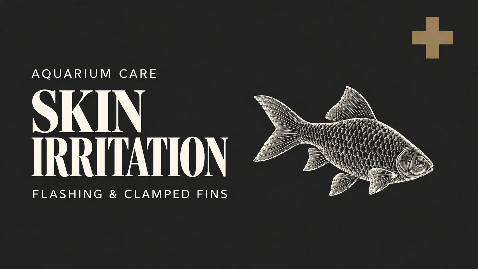 Flashing, Clamped Fins and Excess Slime in Fish – Telling Skin Parasites from Water Quality Irritation