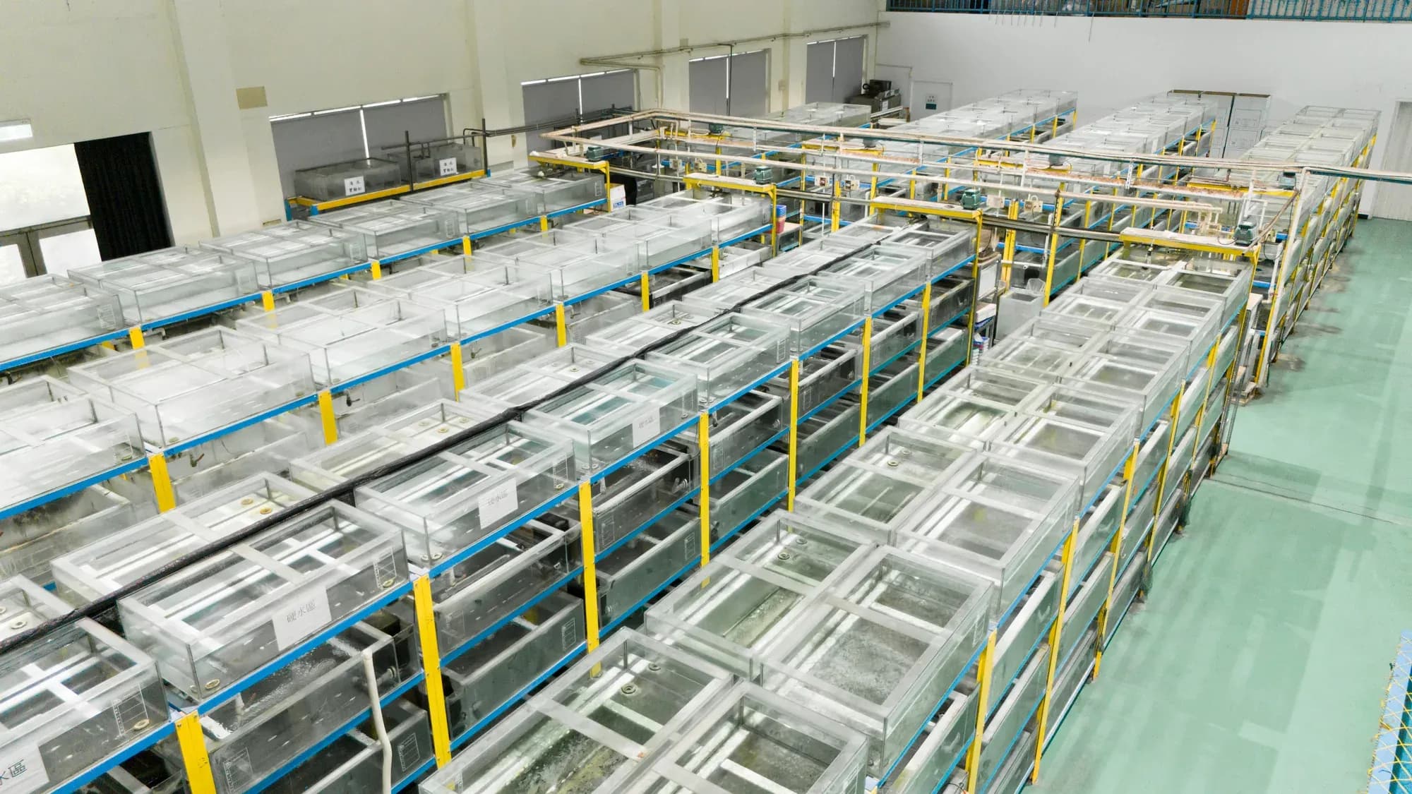 Rows of indoor glass tanks, pipework and walkways