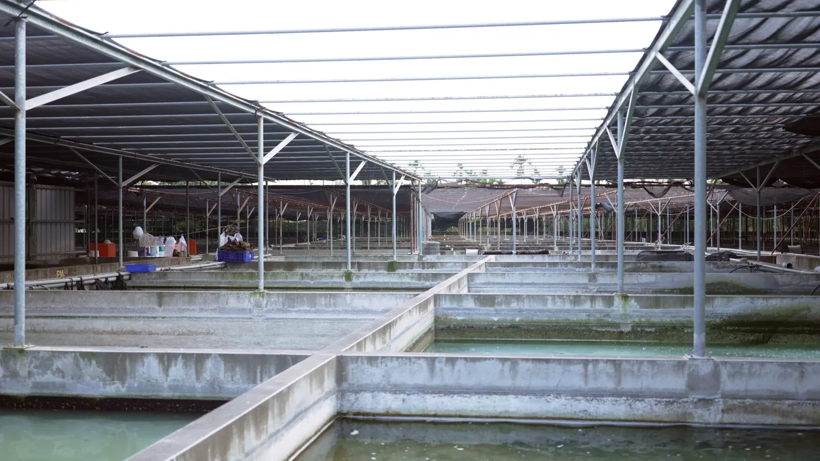 Rows of ponds and observation walkways under a canopy
